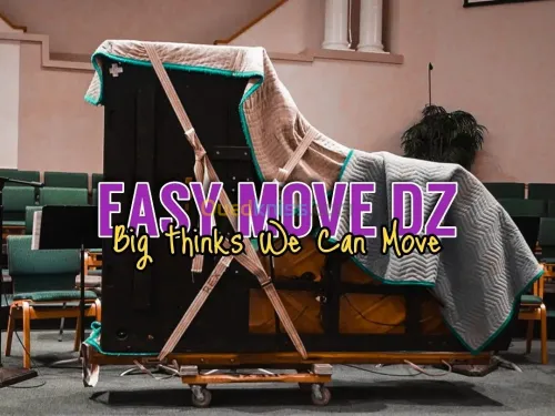 Demenagement tout options easy move dz