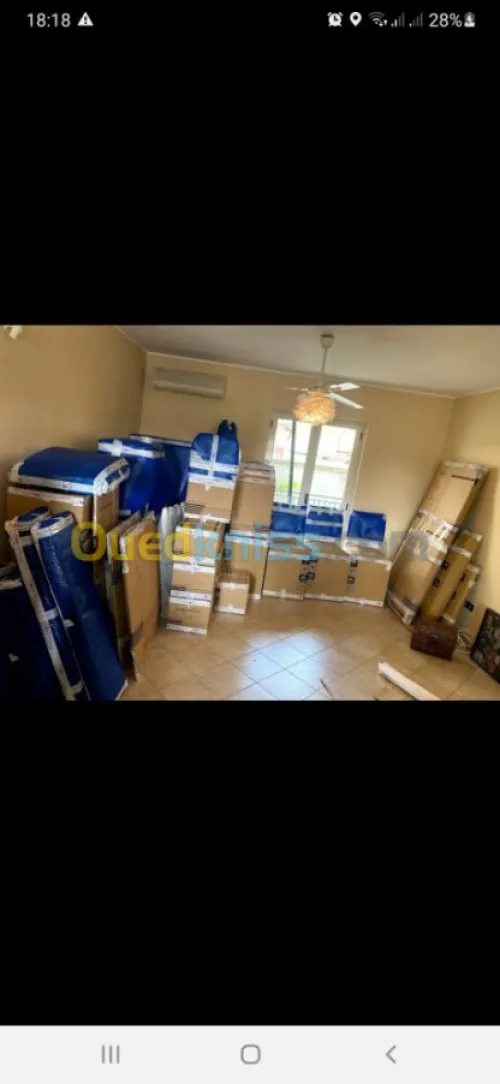 Demenagement tout options easy move dz