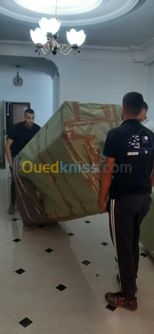 Demenagement tout options easy move dz