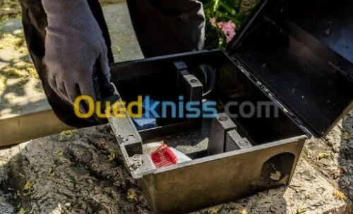  Désinsectisation Dératisation