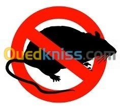  Désinsectisation Dératisation