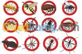  Désinsectisation Dératisation