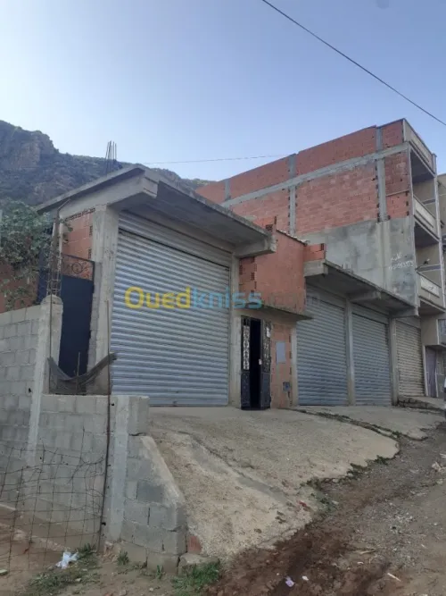 Vente Carcasse Setif Bougaa