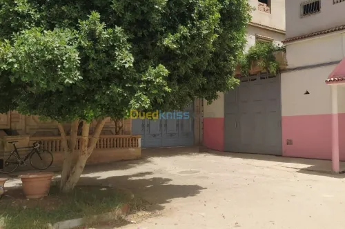 Location bien immobilier Chlef Chlef