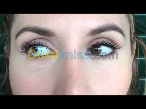lentille halloween