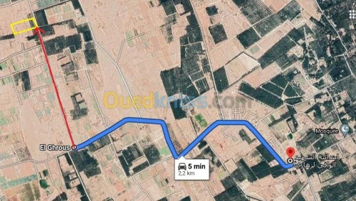 Vente Terrain Agricole Biskra El ghrous