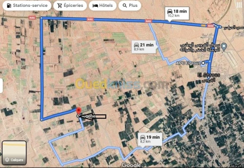 Vente Terrain Agricole Biskra El ghrous