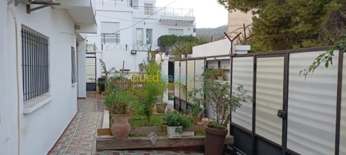 Location Niveau De Villa F3 Annaba Annaba
