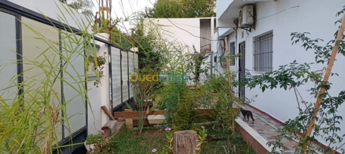 Location Niveau De Villa F3 Annaba Annaba