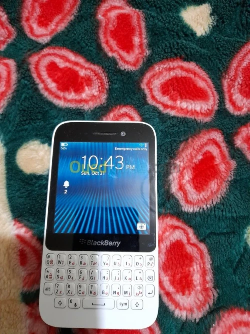 BlackBerry blackberry bold