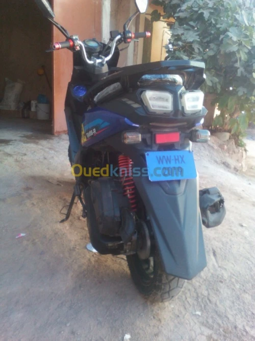 Tmmp E52 2019