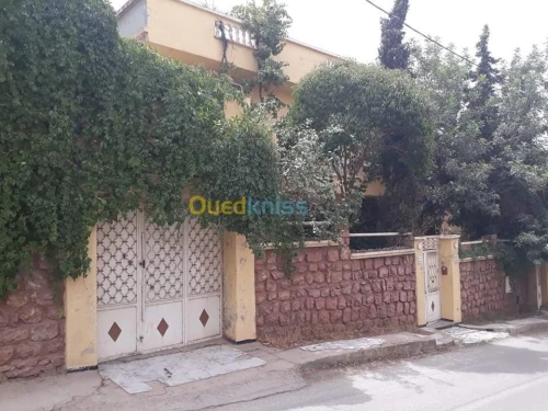 Vente Villa Tlemcen Tlemcen