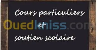 Professeur de français 