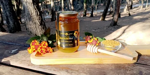  Miel Li Sehat عسل لصحتي