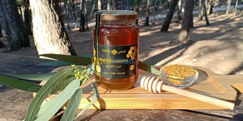  Miel Li Sehat عسل لصحتي