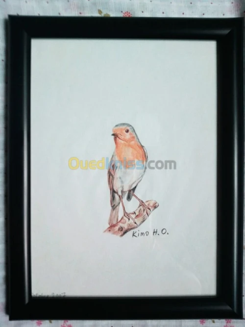 Tableaux d'Oiseaux