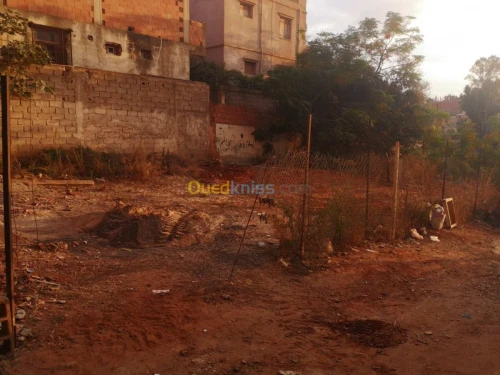 Vente Terrain Tipaza Khemisti