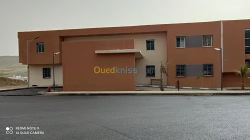 Enduit monocouche pour façade 