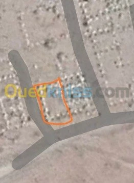 Vente Terrain Djelfa Had sahary