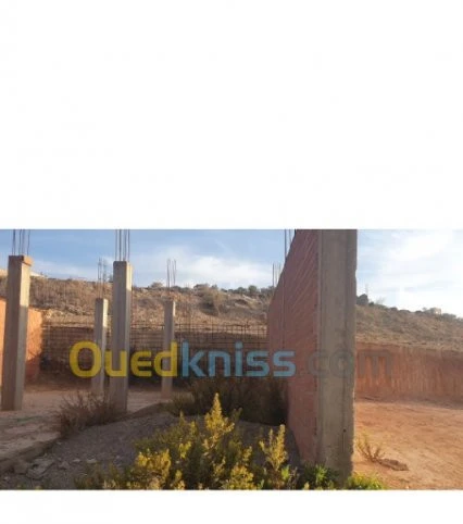 Vente Terrain Tlemcen Tlemcen