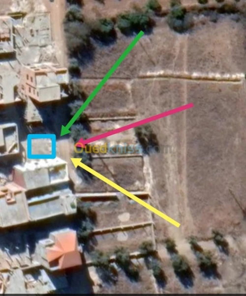 Vente Terrain Tlemcen Tlemcen