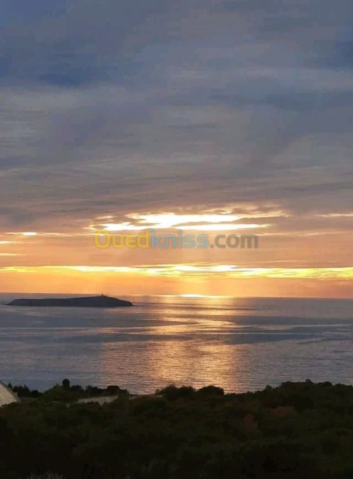 Vente Appartement F3 Ain temouchent Beni saf