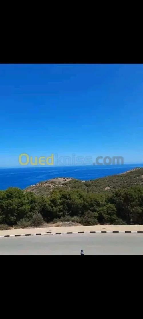 Vente Appartement F3 Ain temouchent Beni saf