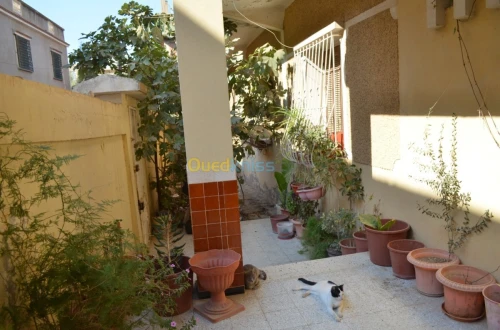 Vente Villa Blida Ouled yaich