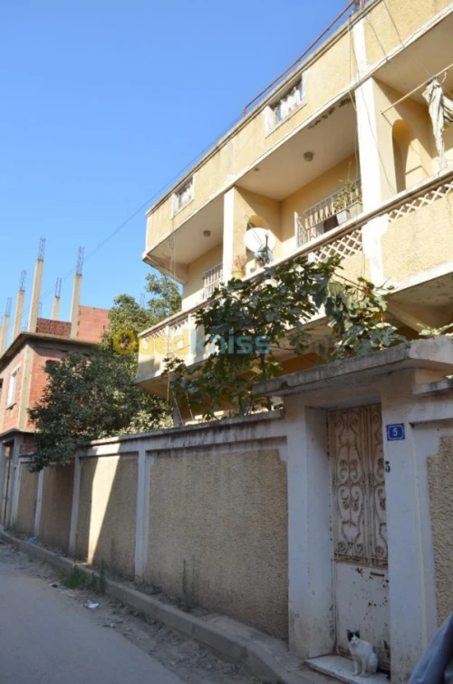 Vente Villa Blida Ouled yaich