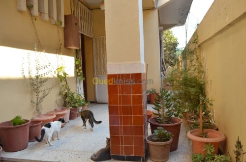 Vente Villa Blida Ouled yaich