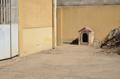 Vente Villa Blida Ouled yaich