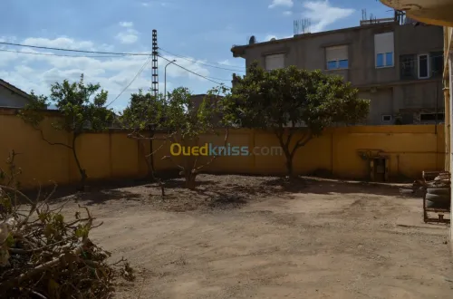 Vente Villa Blida Ouled yaich