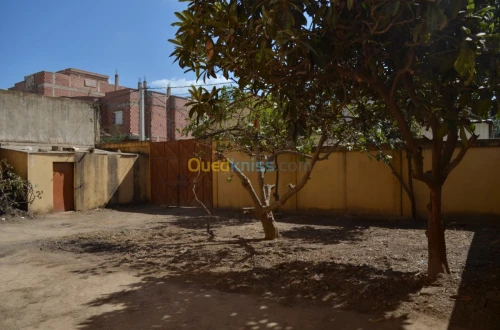 Vente Villa Blida Ouled yaich