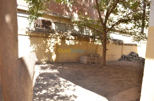 Vente Villa Blida Ouled yaich