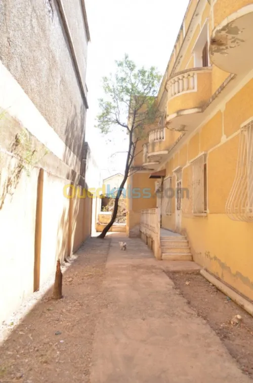 Vente Villa Blida Ouled yaich