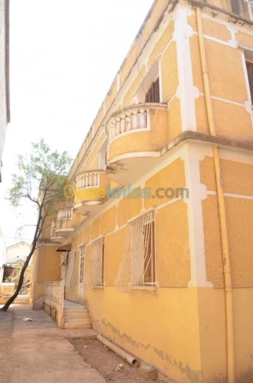Vente Villa Blida Ouled yaich