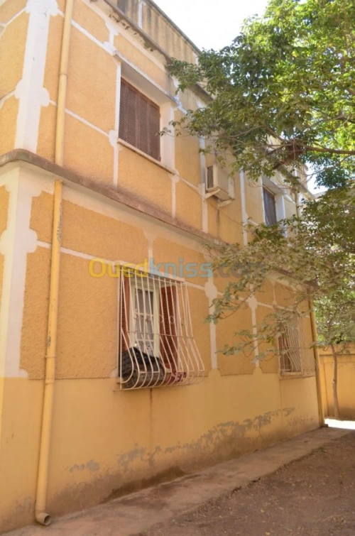 Vente Villa Blida Ouled yaich