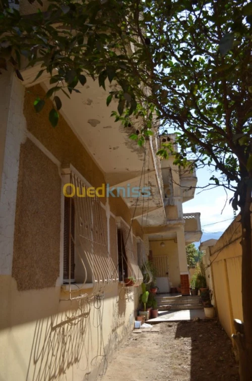Vente Villa Blida Ouled yaich