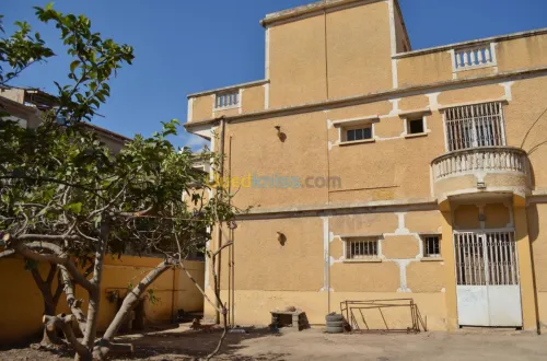 Vente Villa Blida Ouled yaich