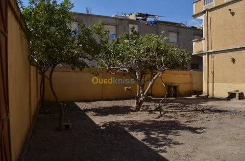 Vente Villa Blida Ouled yaich