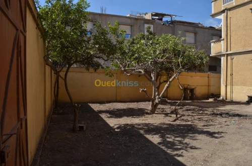 Vente Villa Blida Ouled yaich