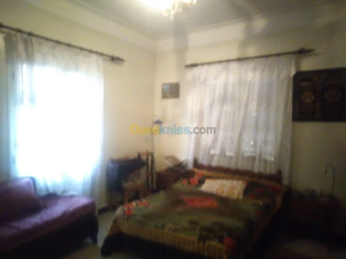 Vente Villa Blida Ouled yaich