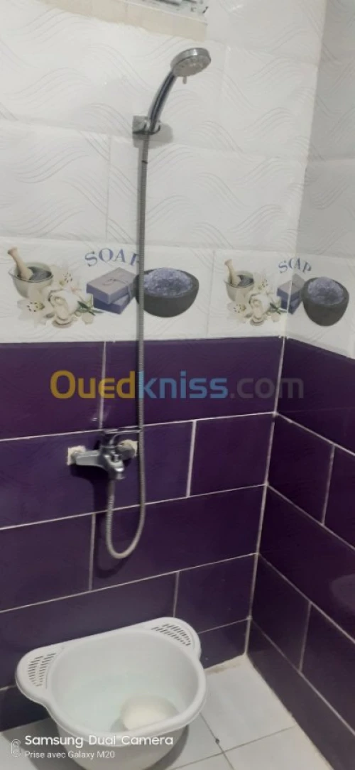 Vente Villa Tiaret Mahdia