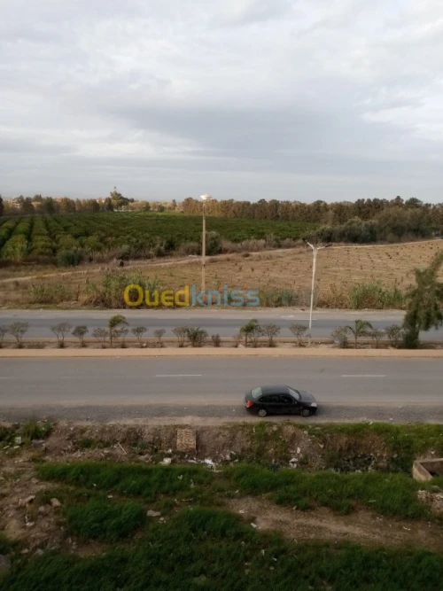 Vente Appartement F3 Blida Larbaa