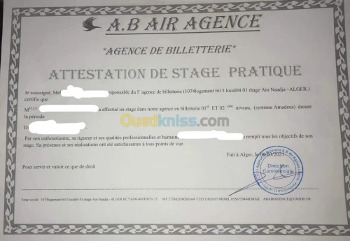formation d'amadeus 