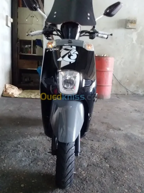 Vms Coux(vms)2019 