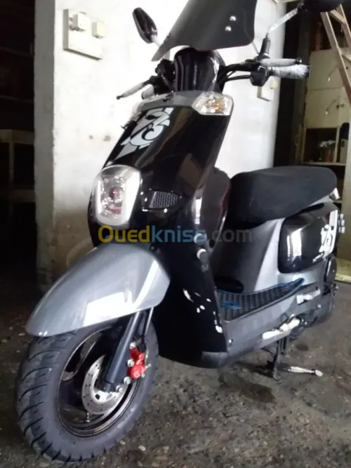 Vms Coux(vms)2019 