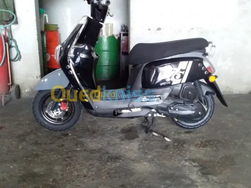 Vms Coux(vms)2019 