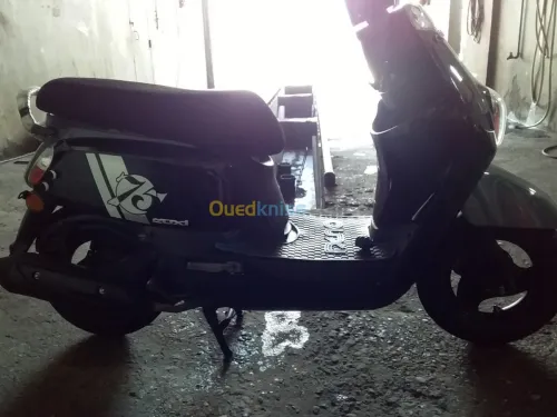 Vms Coux(vms)2019 