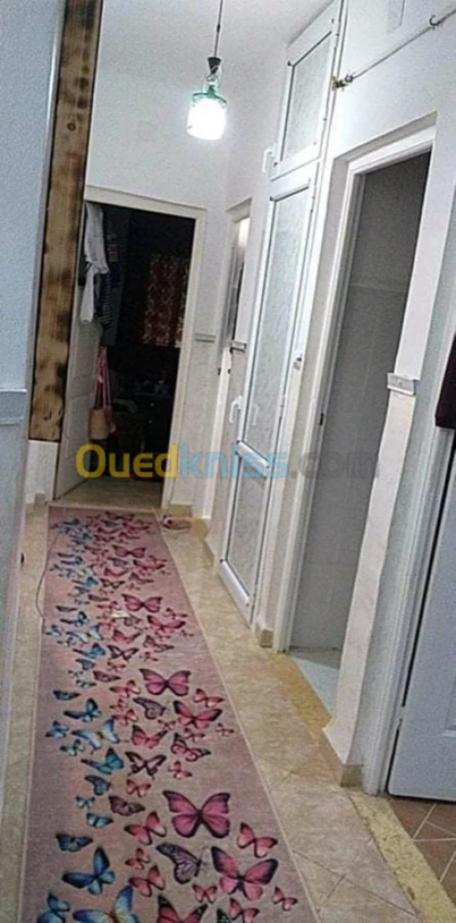 Location Appartement F3 Alger Ouled fayet